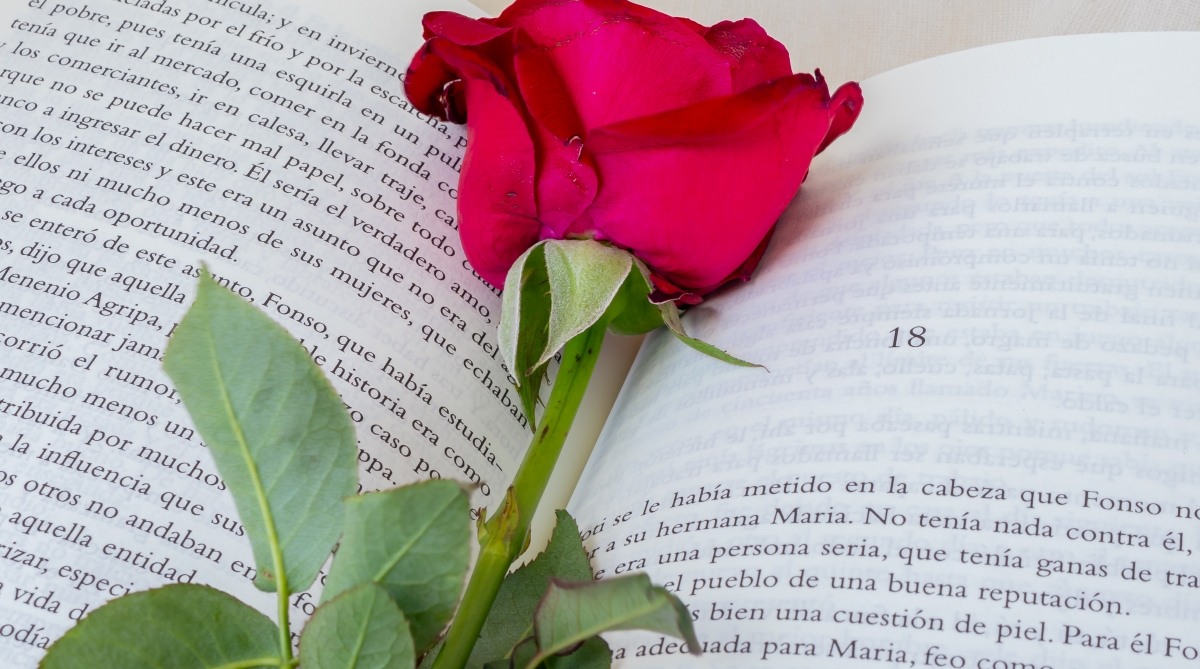 23 de abril: Día Internacional del Libro