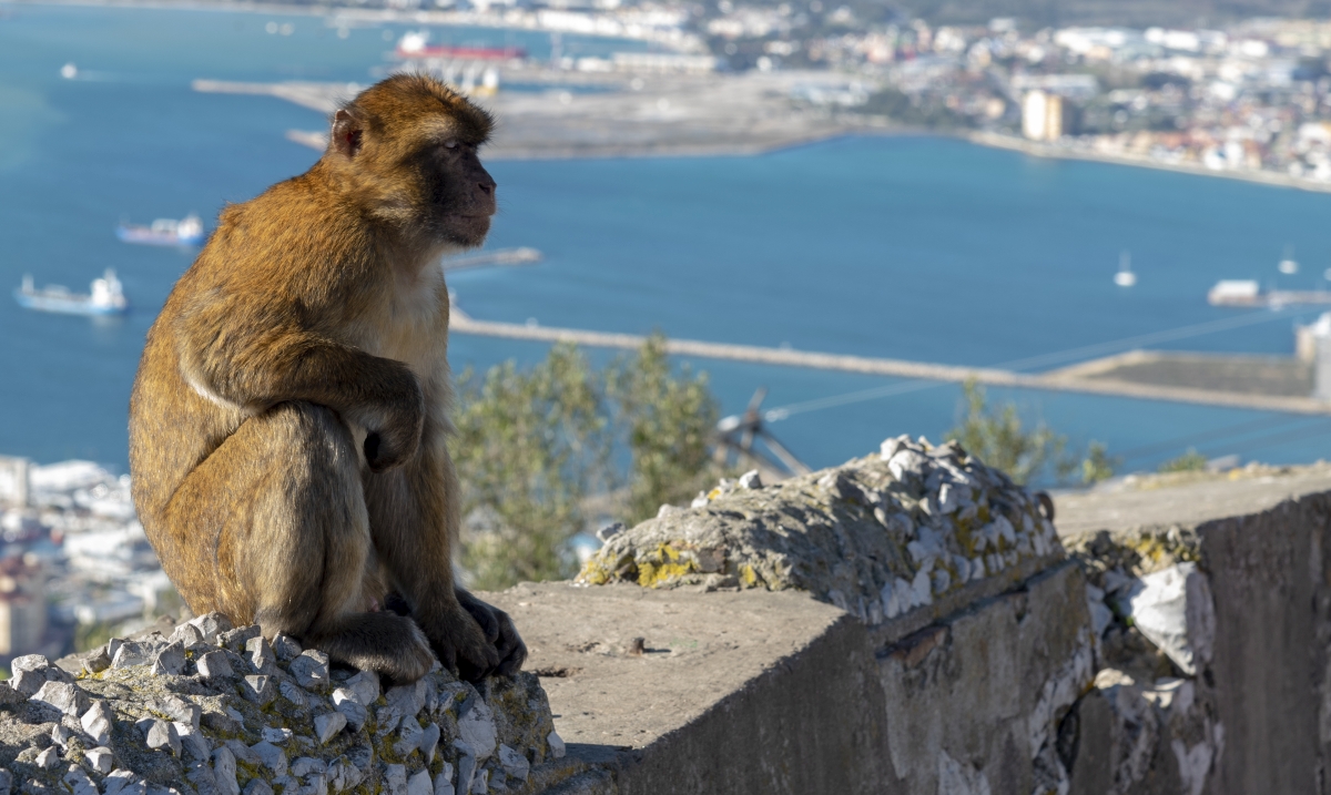 Gibraltar y el llanito